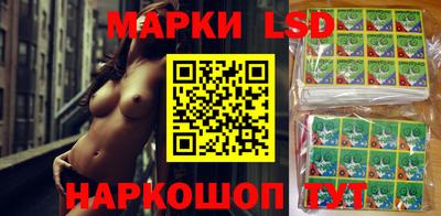 PSILOCYBIN Камышлов