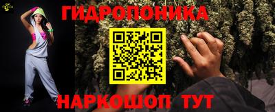 PSILOCYBIN Камышлов