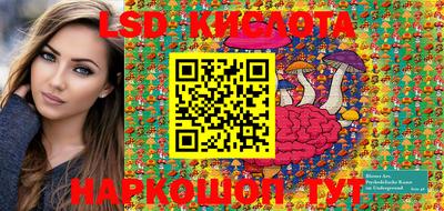PSILOCYBIN Камышлов