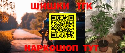 PSILOCYBIN Камышлов