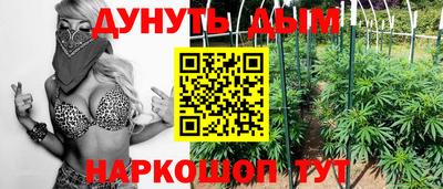 PSILOCYBIN Камышлов