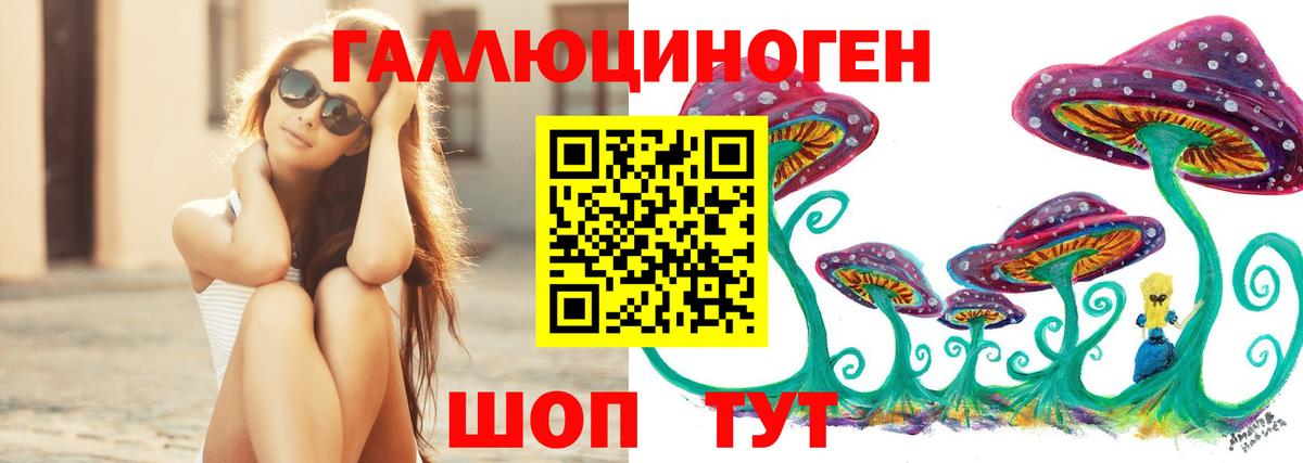 Галлюциногенные грибы Psilocybine cubensis  Вход с VPN  Краснодар  Псилоцибиновые грибы GOLDEN TEACHER 