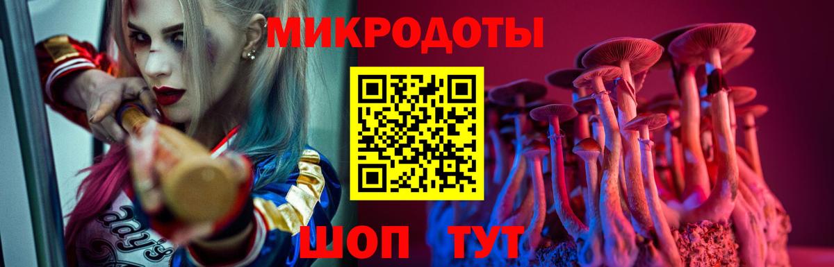 Галлюциногенные грибы Psilocybine cubensis Краснодар